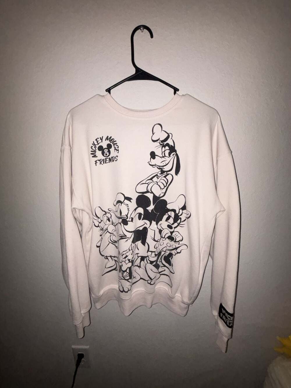 Disney Mickey & Friends Graphic Crewneck Sweatshirt